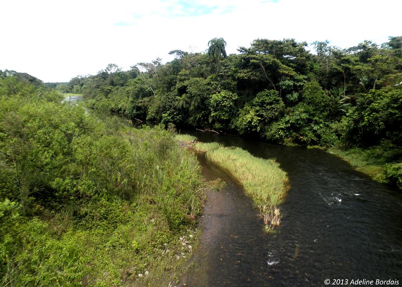 Fichier:Transformation des méandres, jungle équatorienne.jpg