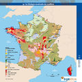 Vignette pour la version du 22 novembre 2012 à 12:23