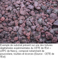 Vignette pour la version du 21 mars 2013 à 15:19