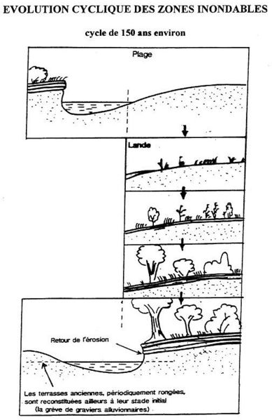 Fichier:Evolution cyclique zi.jpg