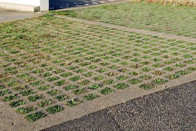 Dalle beton vegetalisee 1.jpg
