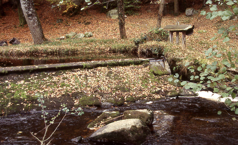 Fichier:Seuil bief moulin.jpg