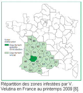 Fichier:Carte france.bmp