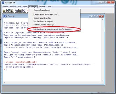 DICARTO R installation des packages.jpg